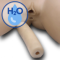 Insert - H2O