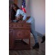 6YE 164cm D | Premium Ebony Sex Doll Tanya 6YE 164cm D | Premium Ebony Sex Doll Tanya